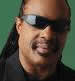 Stevie Wonder